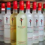 Bskinnygirl margrita